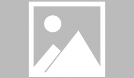 91九和平精英直播回放,激情对决，热血沸腾