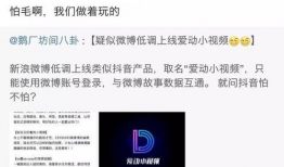 国内小视频,短视频潮流下的国内文化现象解析